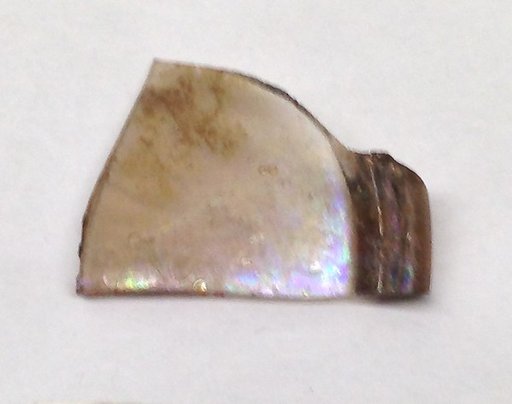 Fragment