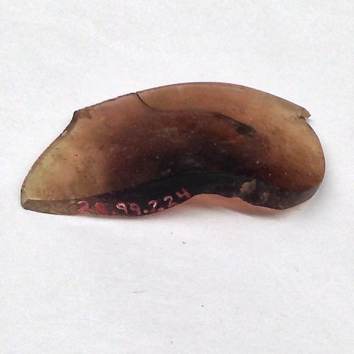 Fragment