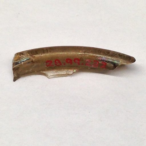 Fragment