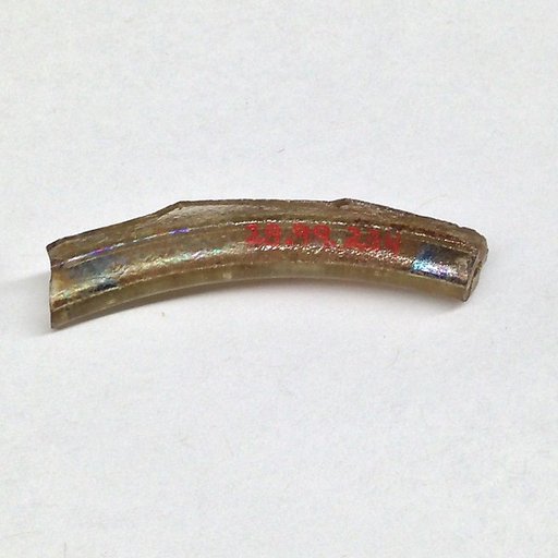 Fragment