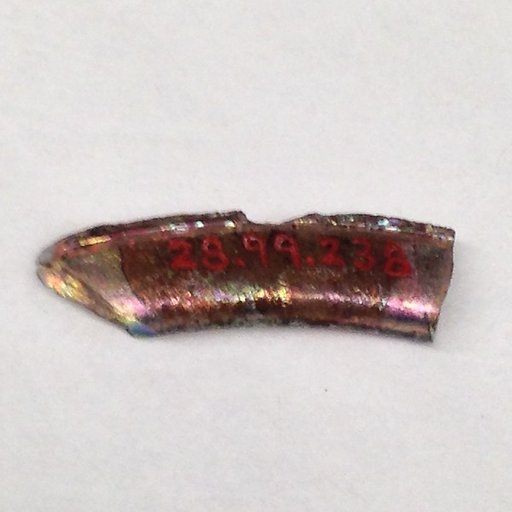 Fragment