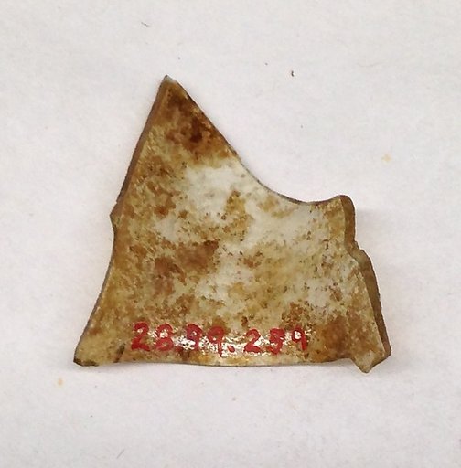 Fragment