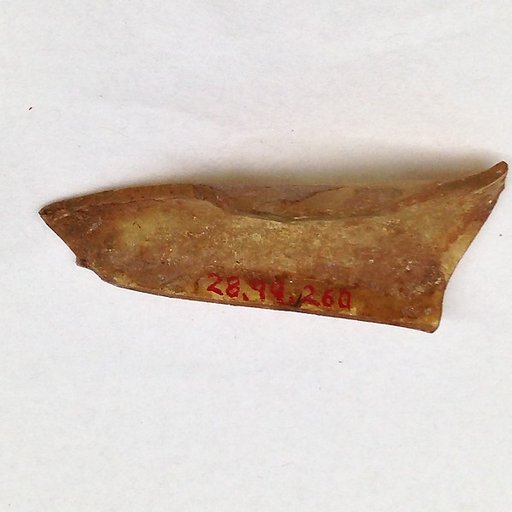 Fragment