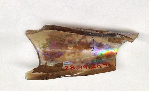 Fragment