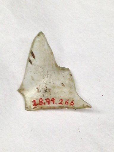 Fragment