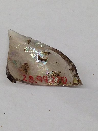 Fragment