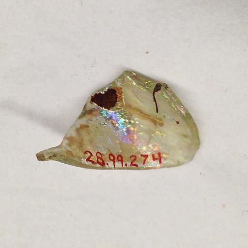 Fragment