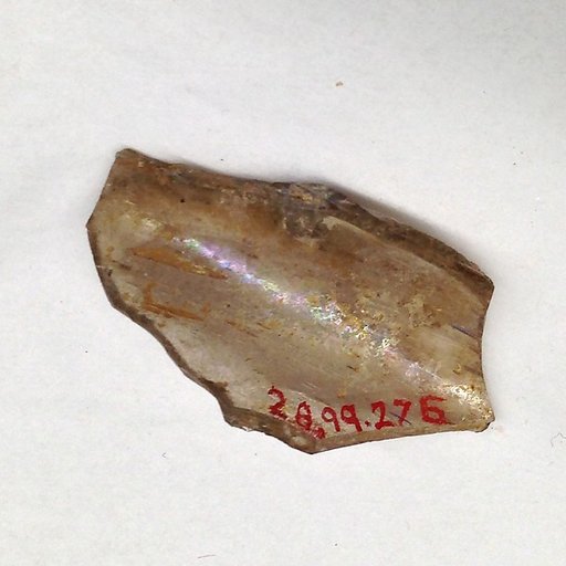 Fragment