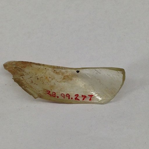 Fragment