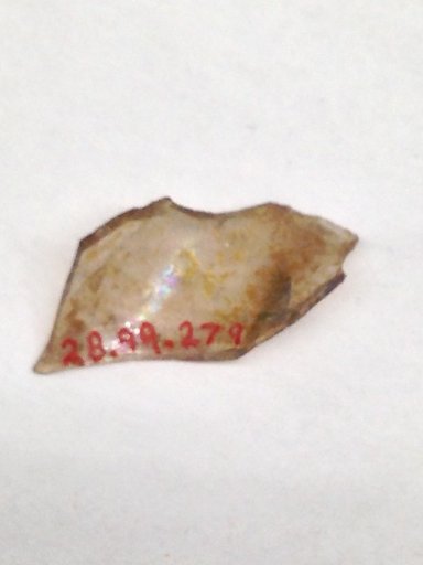Fragment