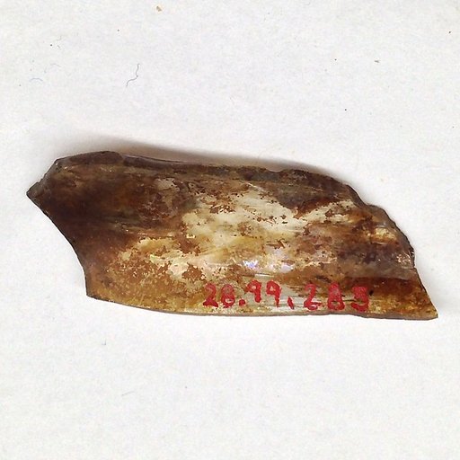 Fragment