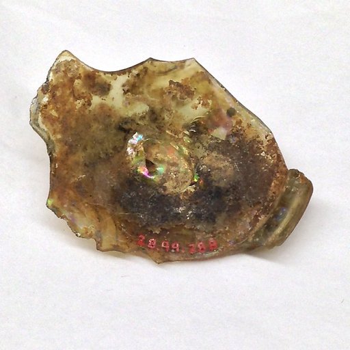 Fragment