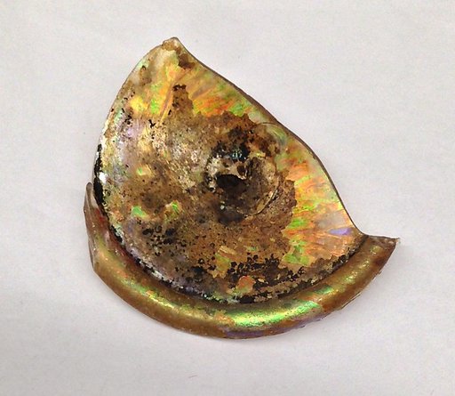 Fragment