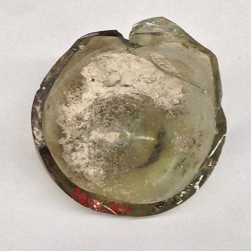Fragment