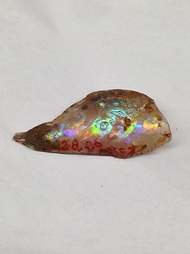 Fragment