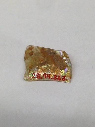 Fragment
