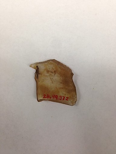 Fragment