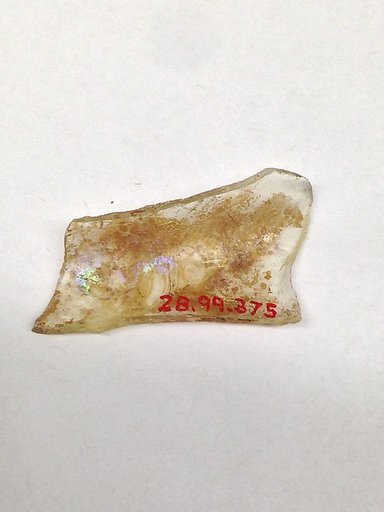 Fragment
