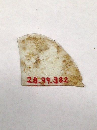 Fragment