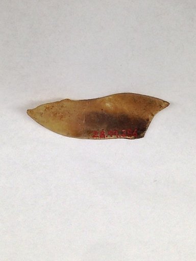 Fragment