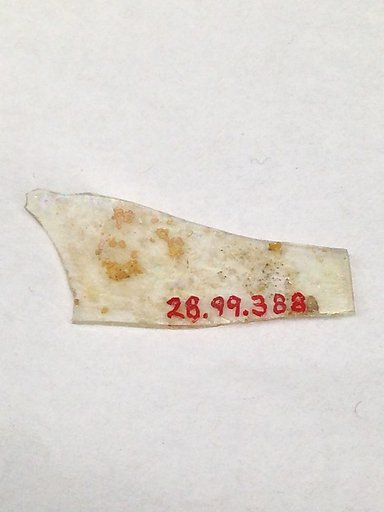 Fragment
