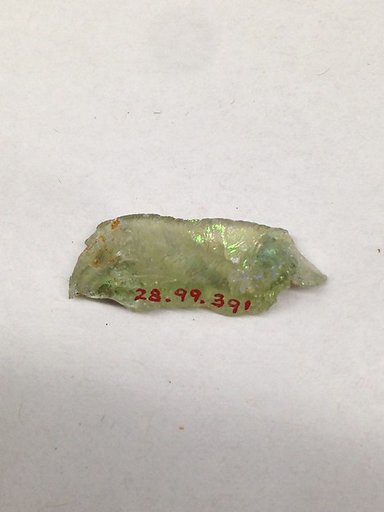Fragment