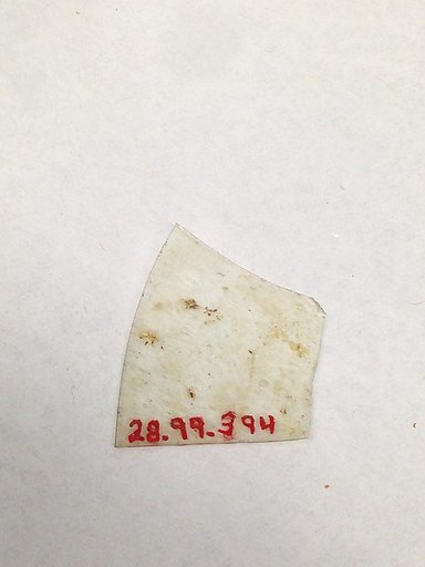 Fragment