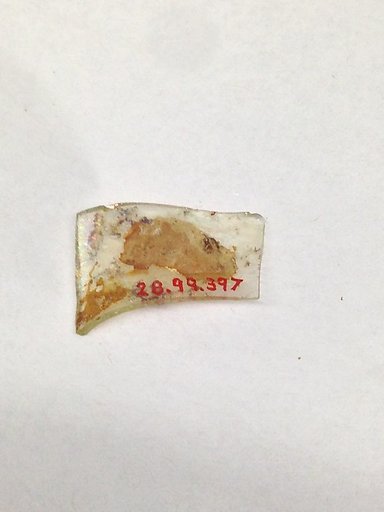 Fragment