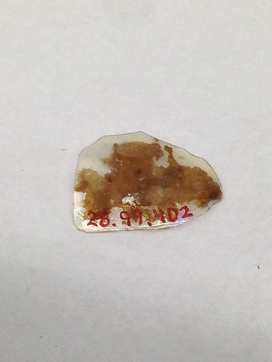 Fragment