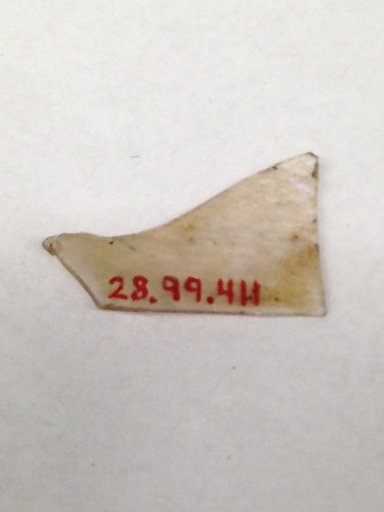 Fragment