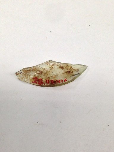 Fragment