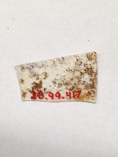 Fragment