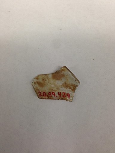 Fragment