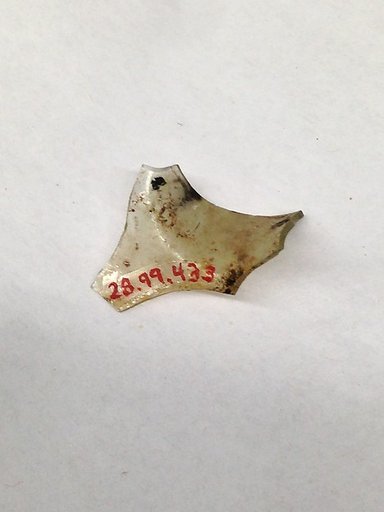Fragment