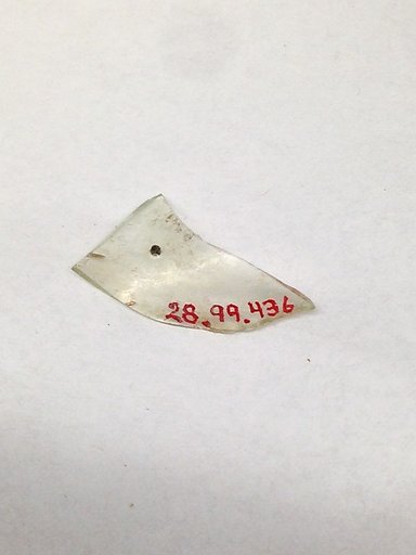 Fragment