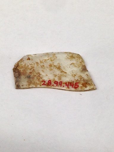 Fragment