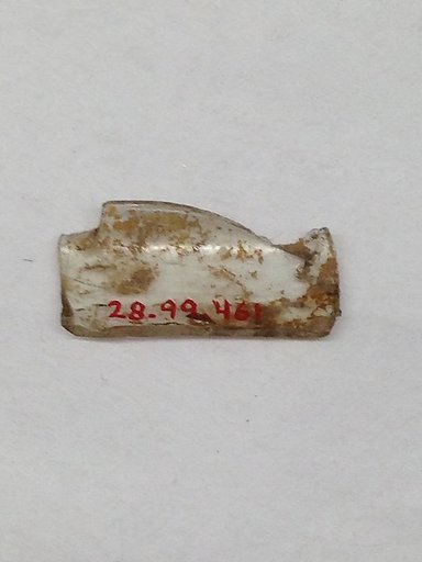 Fragment