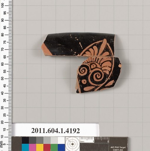 Terracotta rim fragment of a kylix (drinking cup)