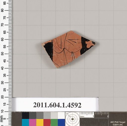 Terracotta fragment of a kylix (drinking cup)