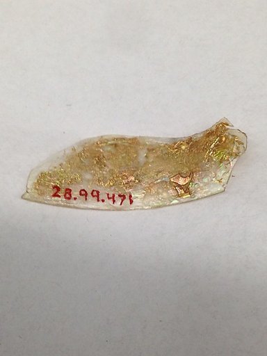 Fragment