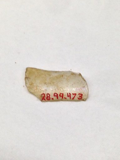 Fragment