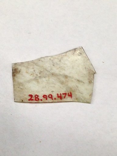 Fragment