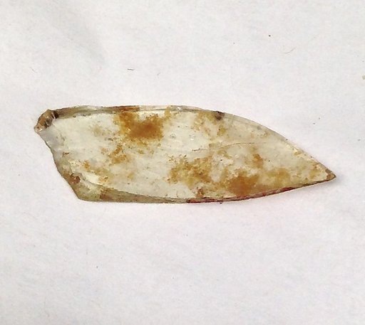 Fragment