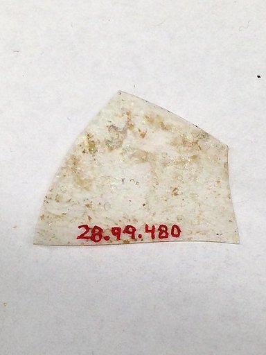 Fragment