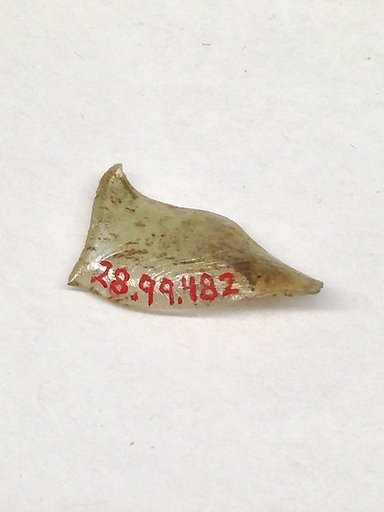 Fragment