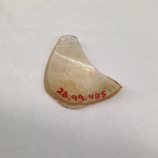 Fragment