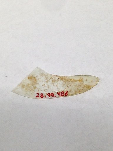 Fragment
