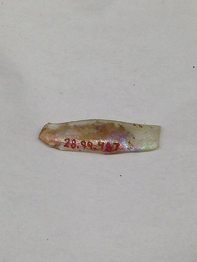 Fragment