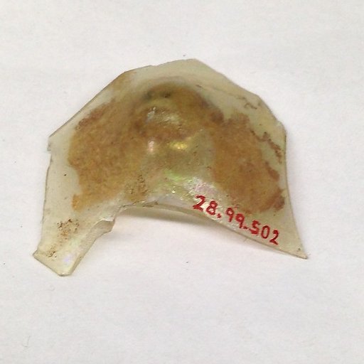 Fragment