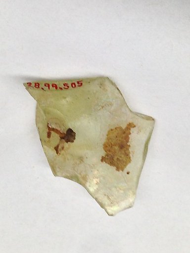 Fragment